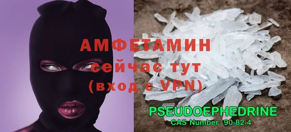 сатива Кулебаки