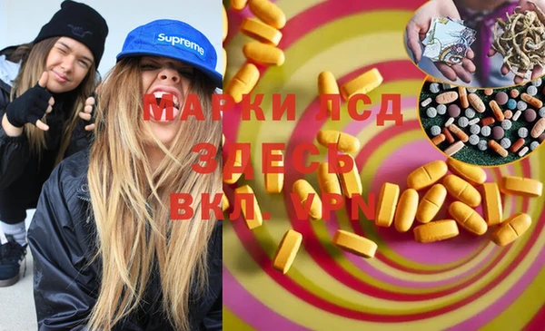 сатива Кулебаки