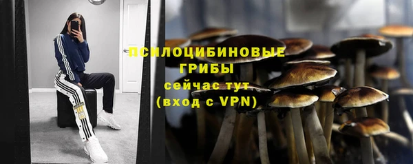 герыч Кукмор