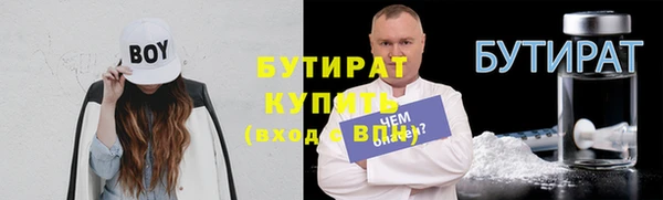 сатива Кулебаки