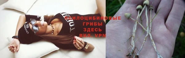 сатива Кулебаки