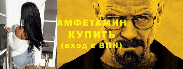 сатива Кулебаки