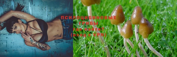 герыч Кукмор
