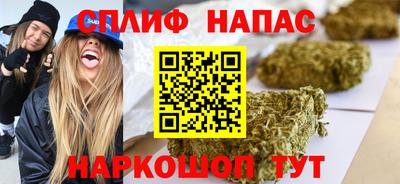МДПВ Гагарин